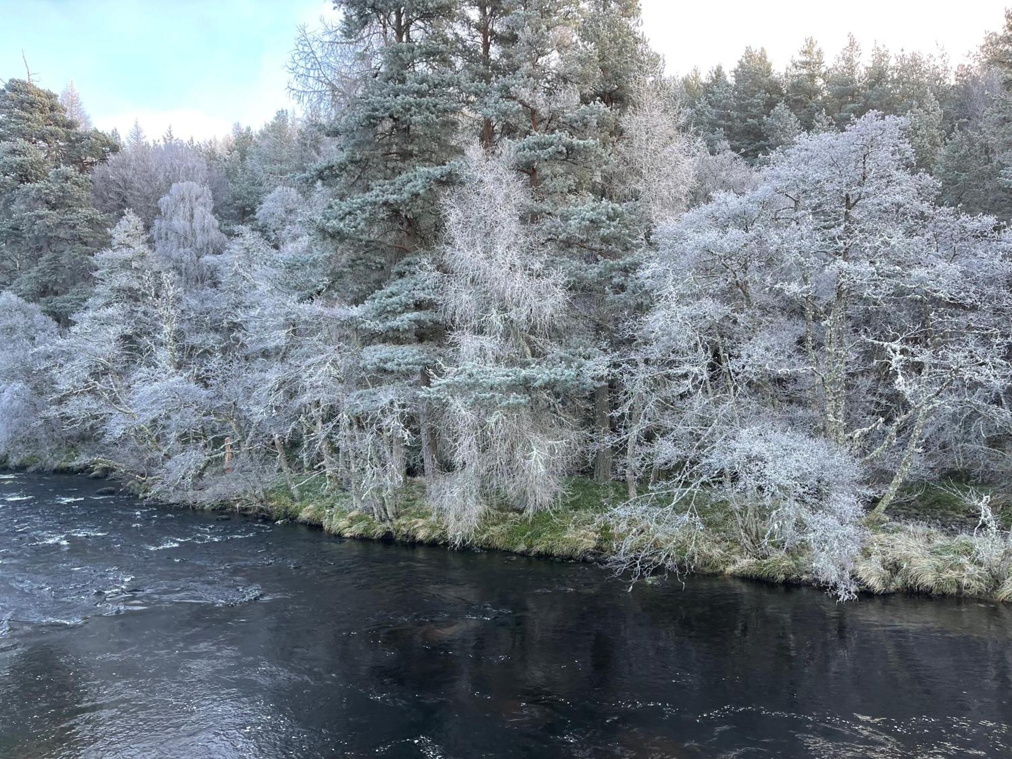 Coppice Grantown-on-Spey